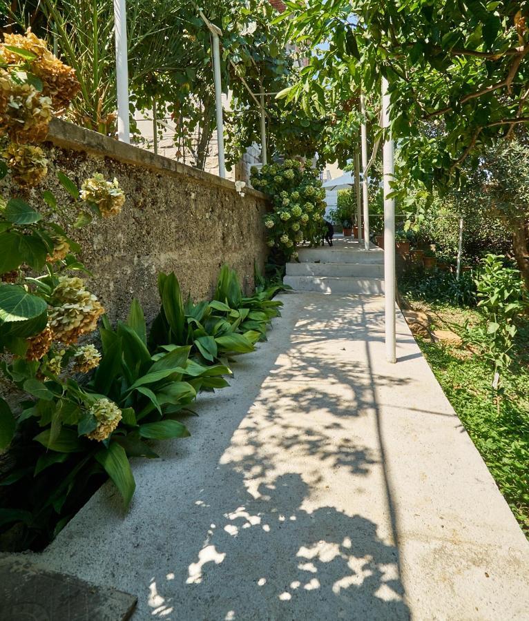Apartament Aspidistra Shadow Dubrownik Zewnętrze zdjęcie
